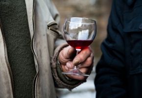 Vinski doživljaji u vinorodnoj Baranji.